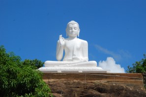 Gallery Thumb 1